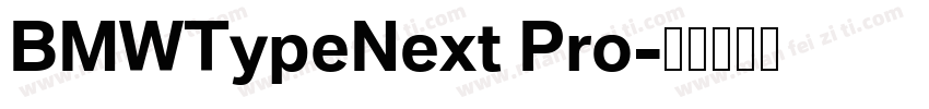 BMWTypeNext Pro字体转换